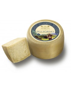 Pellegrino di Norcia